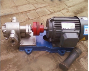 KCB－55不銹鋼齒輪泵